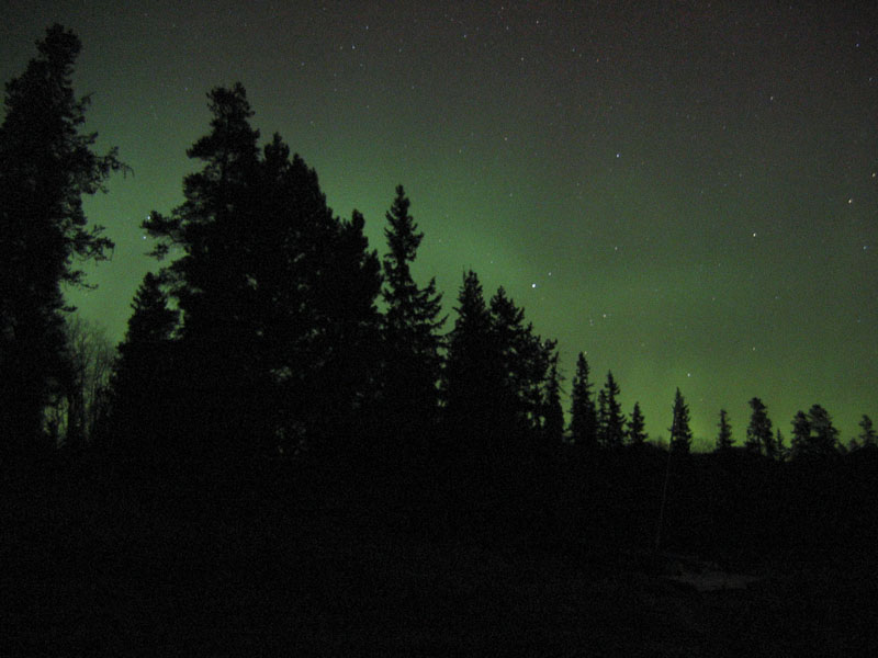 jasper national park northern lights