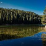 Hiking Moose Lake Loop